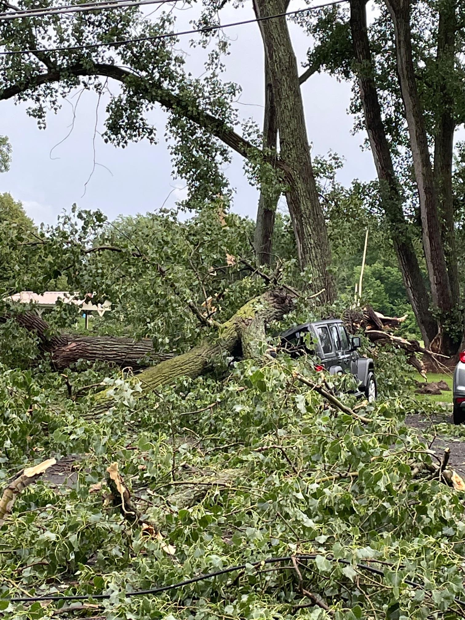 West Canal Damage-21
